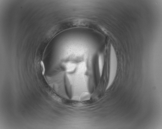 X0000082170513200702021730