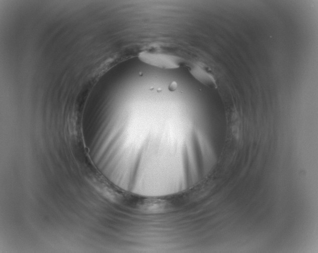 X0000082170514200702021730