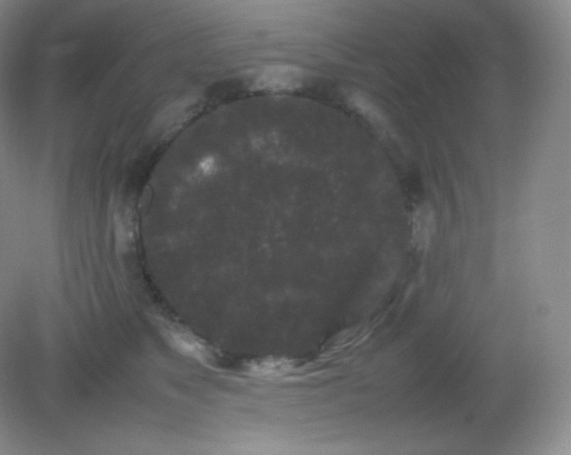 X0000082170517200702021730