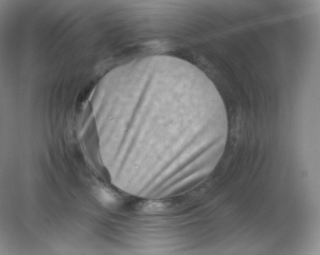 X0000082170518200702021730