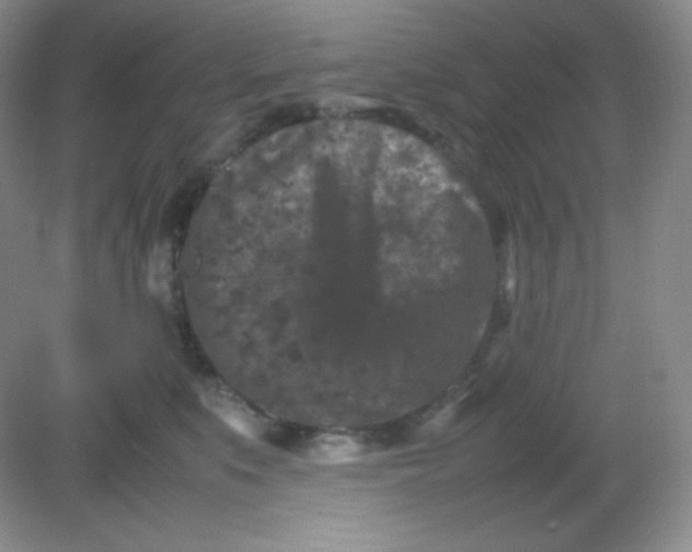 X0000082170519200702021730