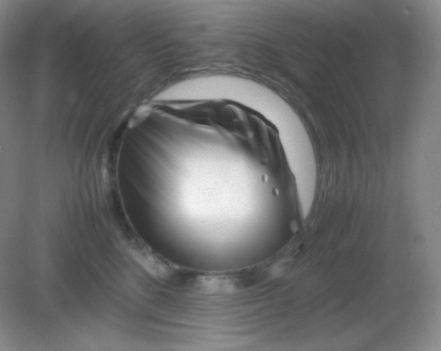 X0000082170520200702021730