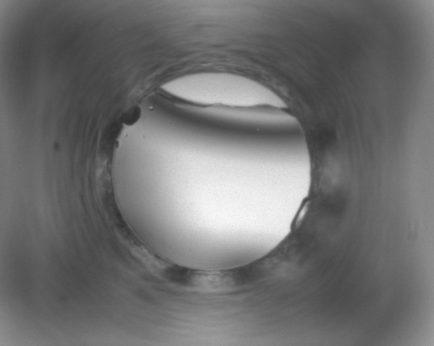 X0000082170521200702021730