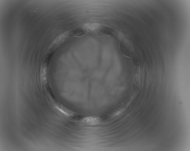 X0000082170526200702021730