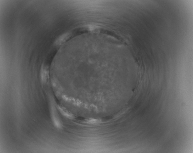 X0000082170527200702021730