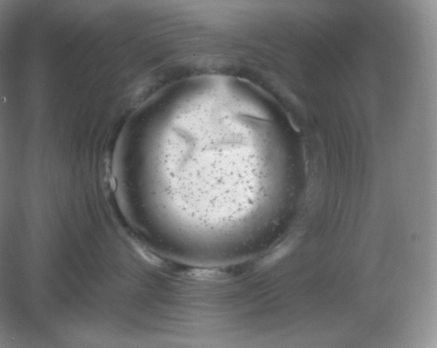 X0000082170528200702021730