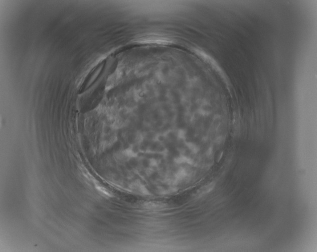 X0000082170529200702021729