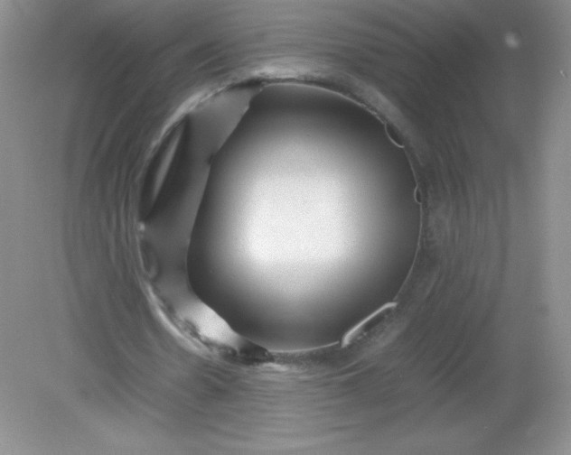 X0000082170530200702021729