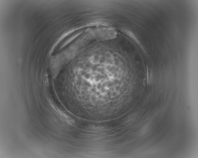 X0000082170531200702021729