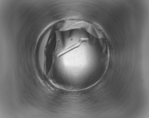 X0000082170532200702021729