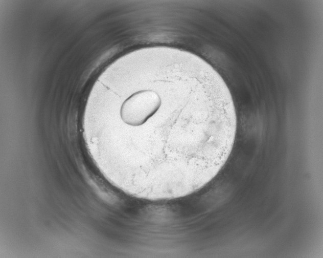 X0000082170534200702021729