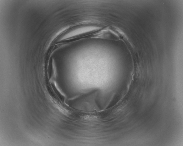 X0000082170535200702021729