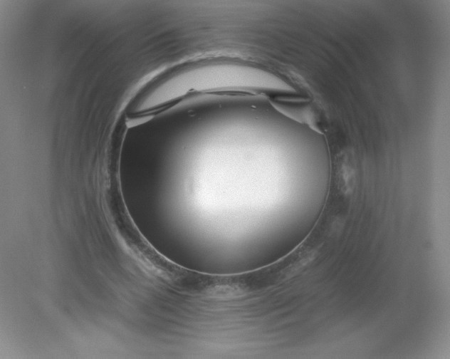 X0000082170536200702021729