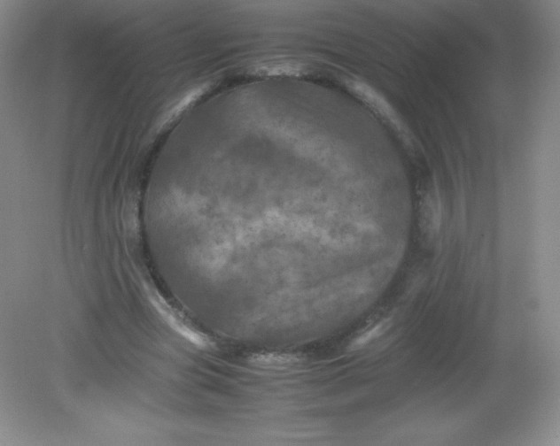 X0000082170537200702021729