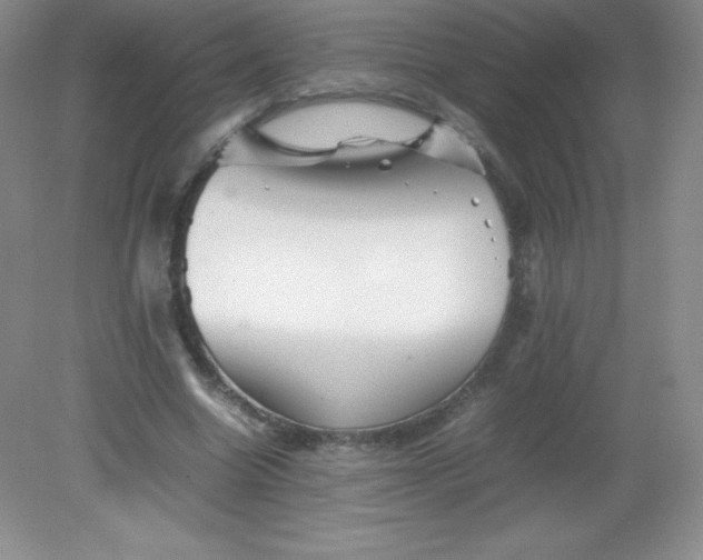 X0000082170538200702021729