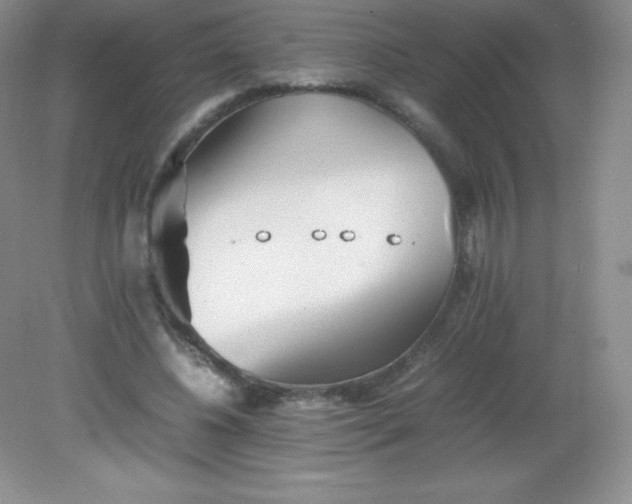 X0000082170540200702021729