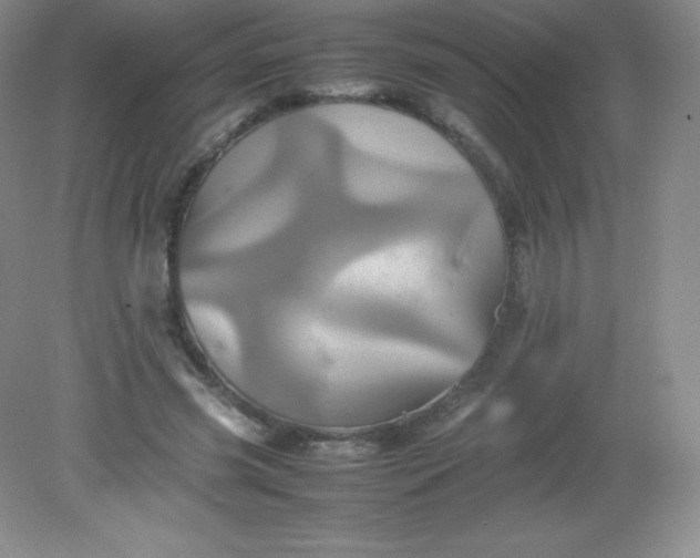 X0000082170541200702021729