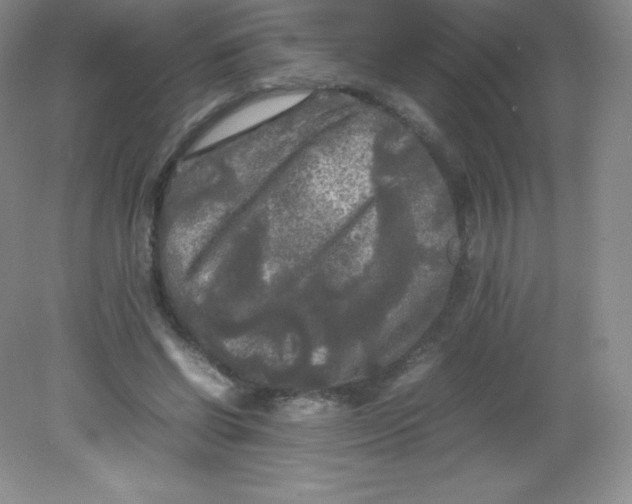 X0000082170542200702021729