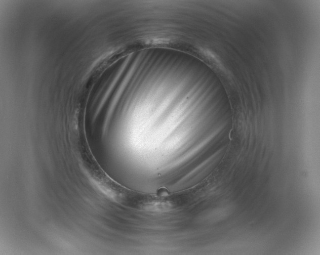 X0000082170543200702021729