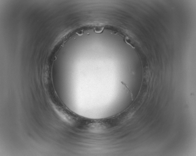 X0000082170544200702021729