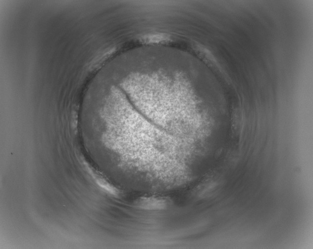 X0000082170545200702021729