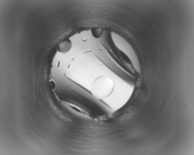 X0000082170546200702021729