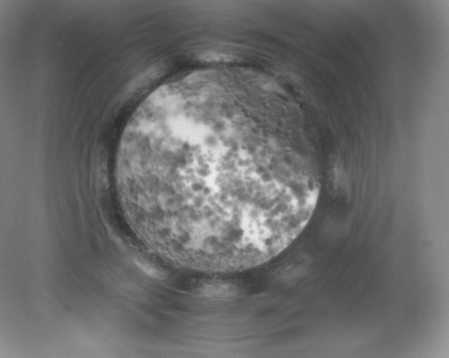 X0000082170547200702021729