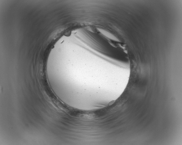 X0000082170548200702021729