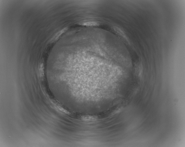 X0000082170549200702021729