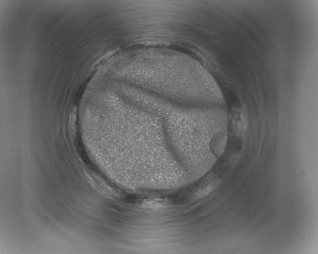 X0000082170550200702021729