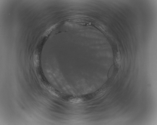 X0000082170551200702021729