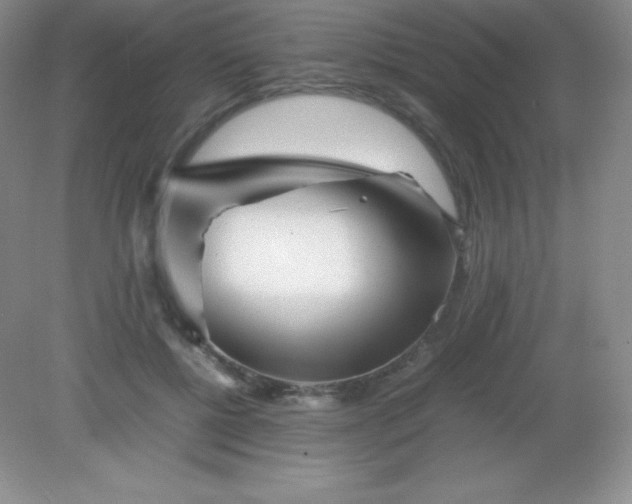 X0000082170552200702021729