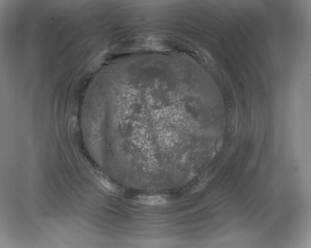 X0000082170553200702021729