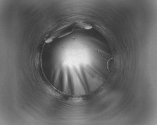 X0000082170554200702021729