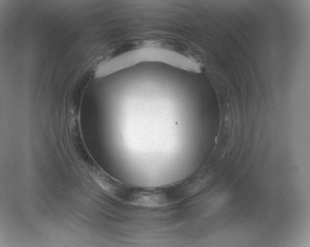 X0000082170555200702021729