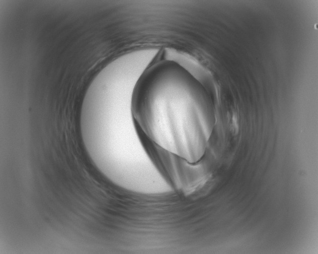 X0000082170556200702021729