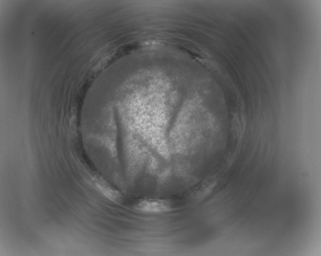 X0000082170557200702021729