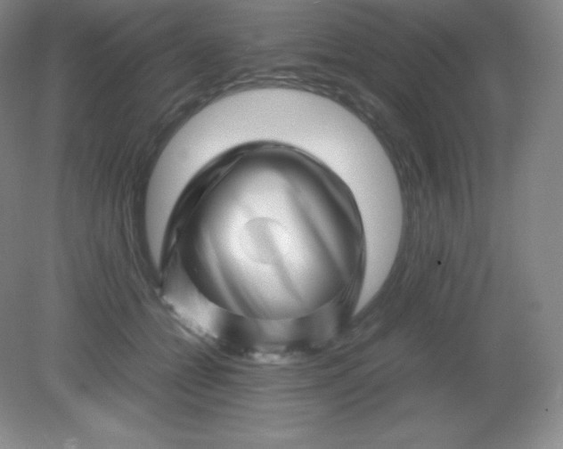 X0000082170558200702021729