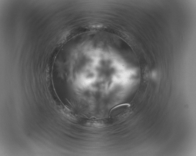 X0000082170559200702021729