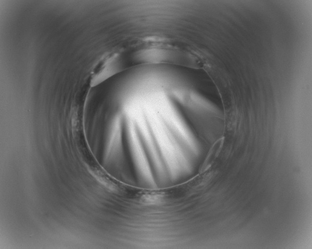 X0000082170560200702021729