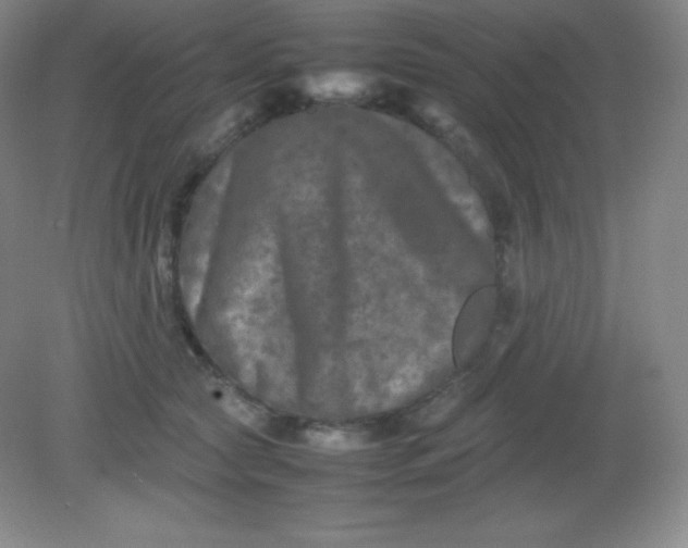 X0000082170561200702021729