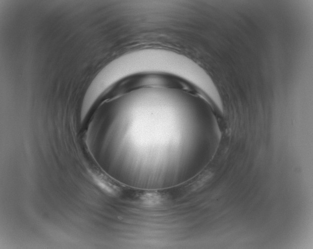 X0000082170562200702021729