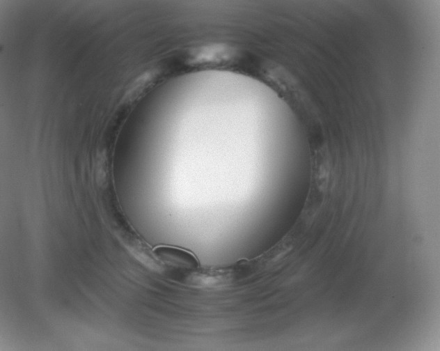 X0000082170563200702021729