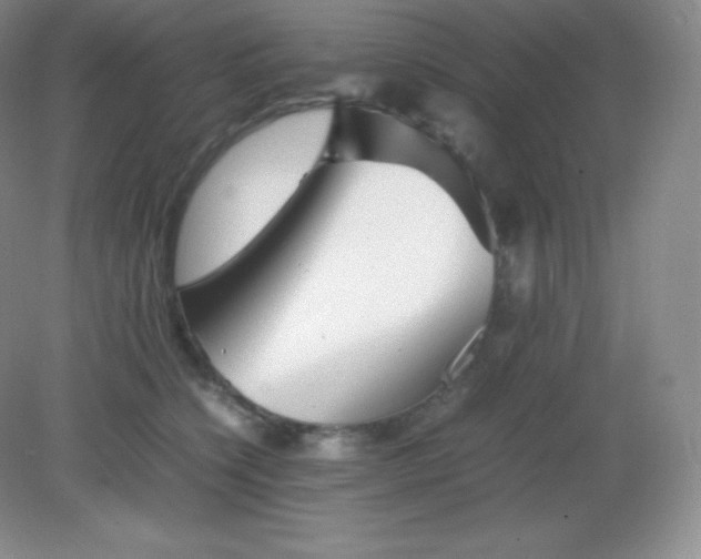 X0000082170564200702021729