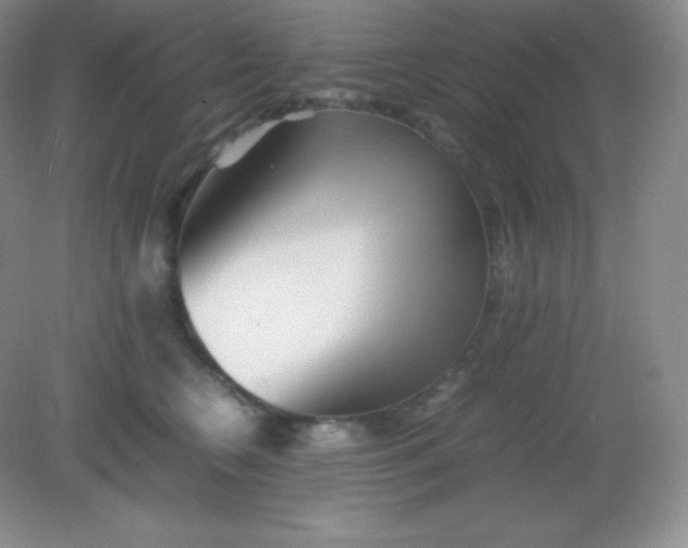 X0000082170566200702021729