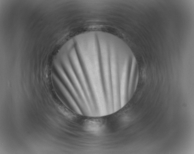 X0000082170567200702021729