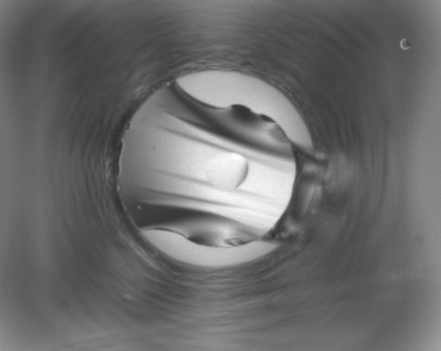 X0000082170568200702021729