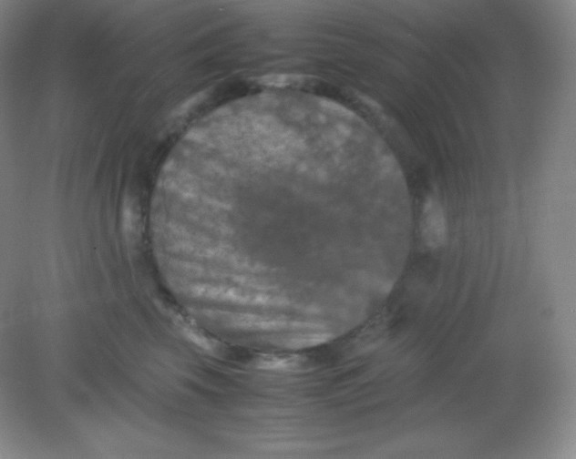 X0000082170569200702021729