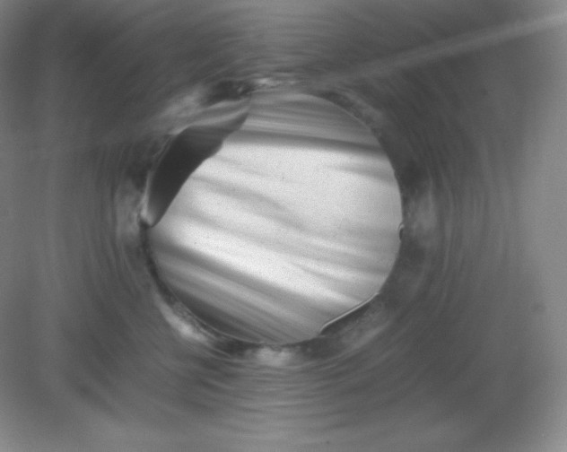 X0000082170570200702021730