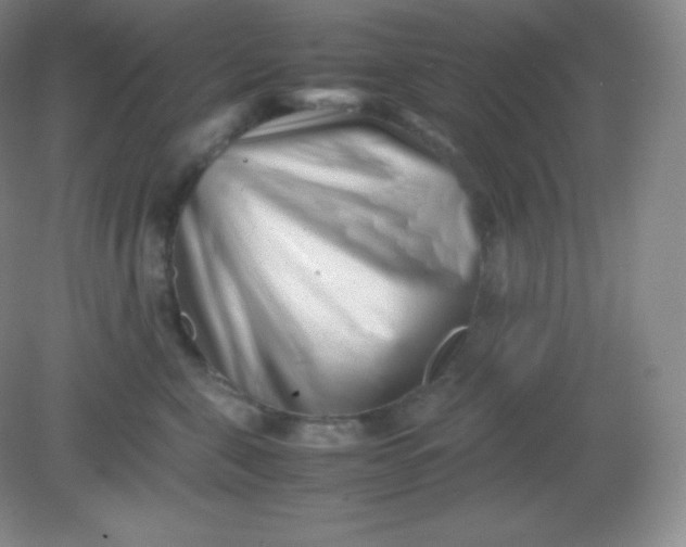 X0000082170571200702021730